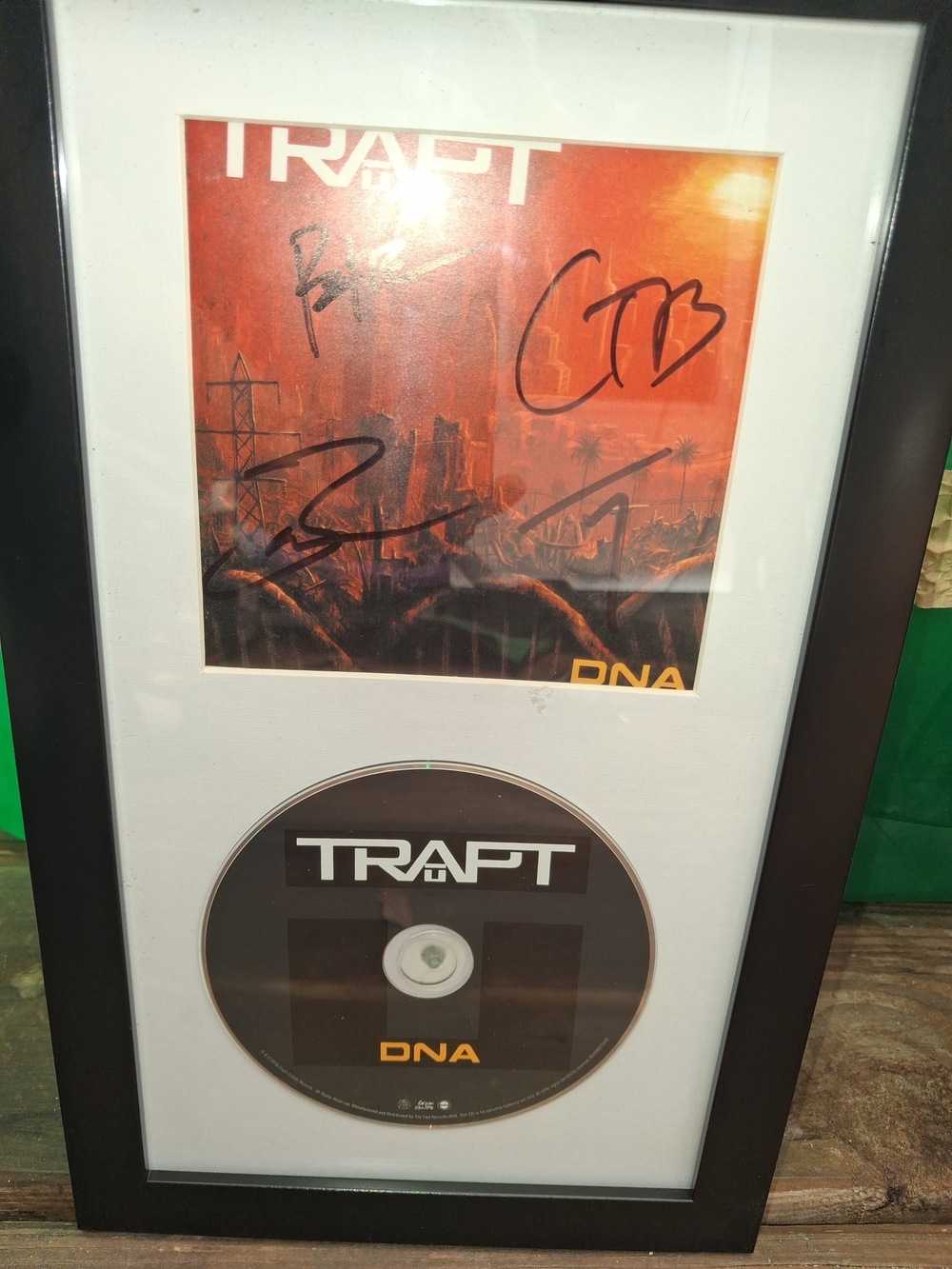 DNA Framed Wall Art - Black and Orange
